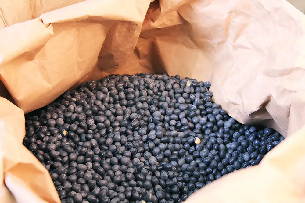 精選黑豆